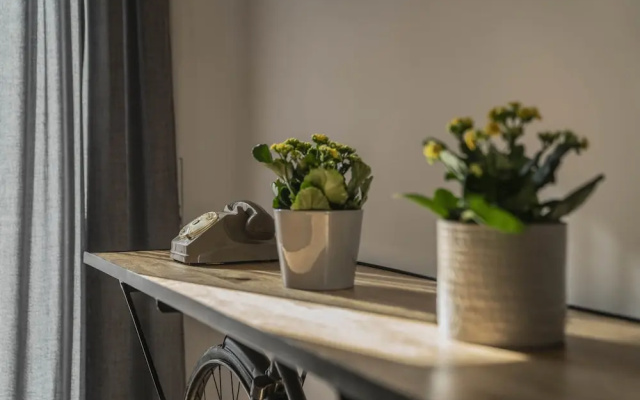 Vintage Apartment Cipro
