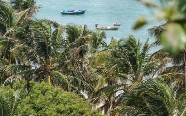 Vila Flor Casa de Praia