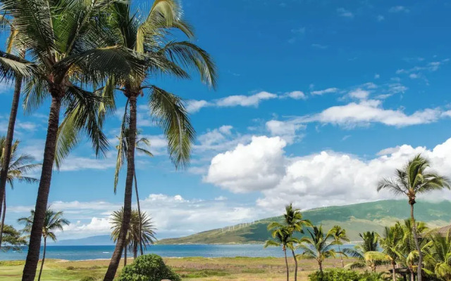 Boutique Oceanfront Studio Vistas