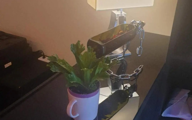 Puli Station Homestay