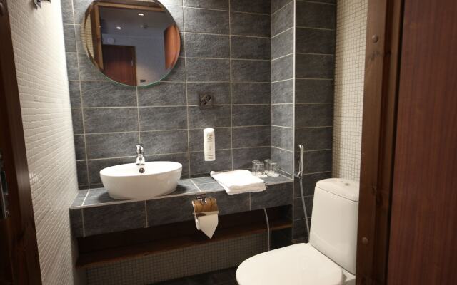 Levi Hotel Spa