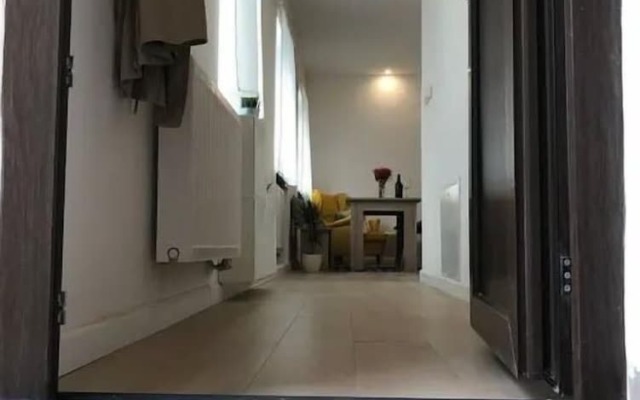Apartment Palm Home