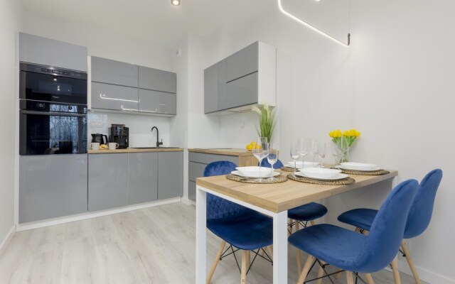 Dark Blue and Grey Apartment by Renters