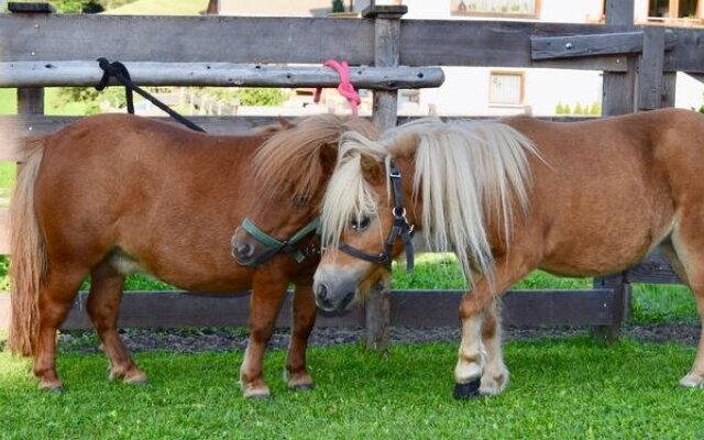 Albeinelerhof - Kinderbauernhof