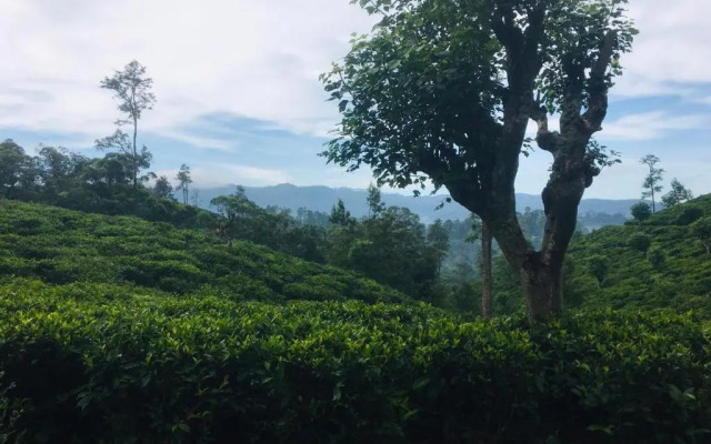 MF Estate Holiday Bungalow