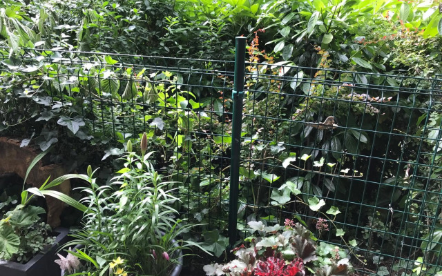 Raben Steinfeld Forststraße 3 Residenzpark