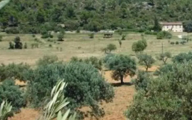 Domaine de Plerimond