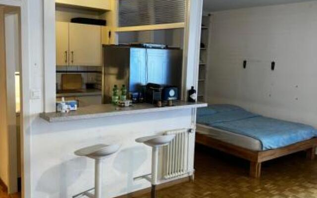 Beautiful Large Studio in center of Geneva Free Wifi