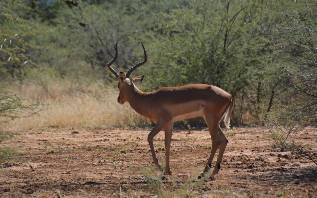 Gabus Game Ranch