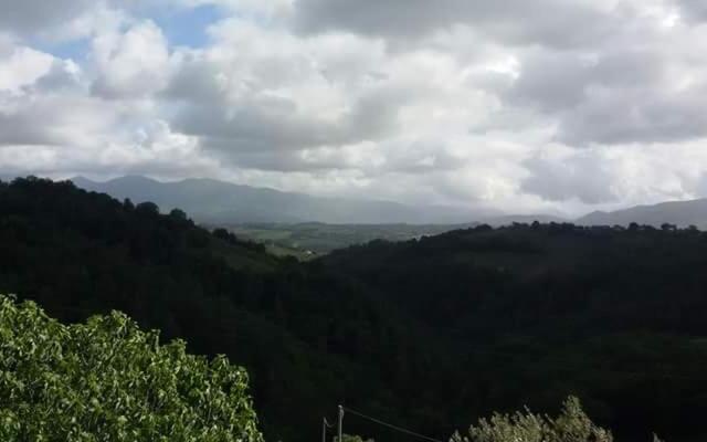 Agriturismo Isola Verde