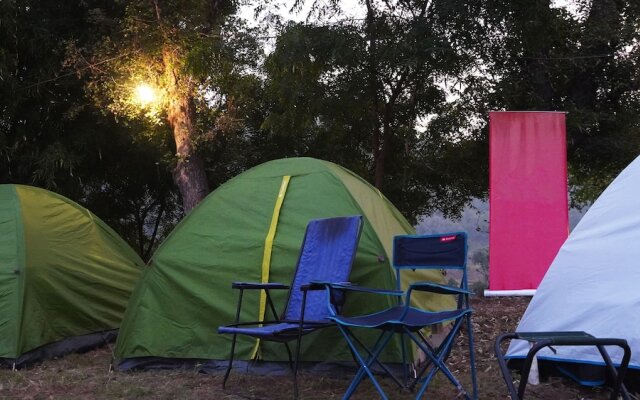 Moustache Kamp Kalakund