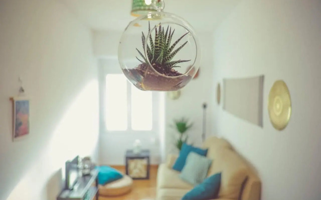 Sintra Central Flat