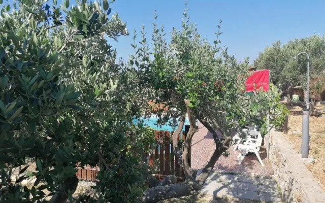 Camp Kopito