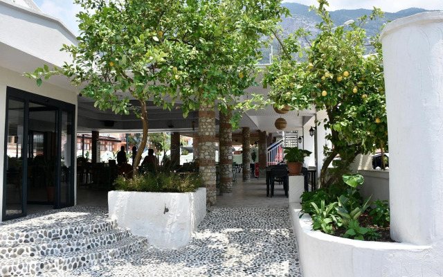 Magic Tulip Hotel