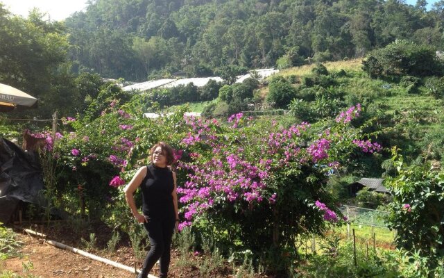 Flora Hill Resort