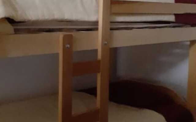The Grasshopper Hostels AV Alta