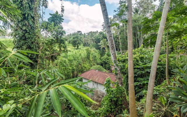 ZEN Rooms Ubud Mas