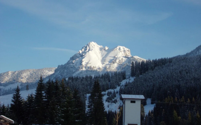 Alpina
