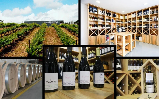 Casa de Santo António