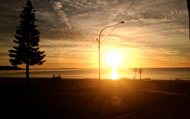 Beachhouse Mollymook