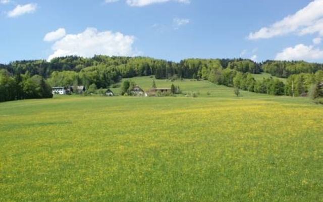 Ferienwohnung Bacher