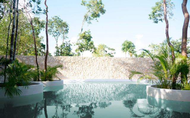 Seremonia Studios by Soyrumi