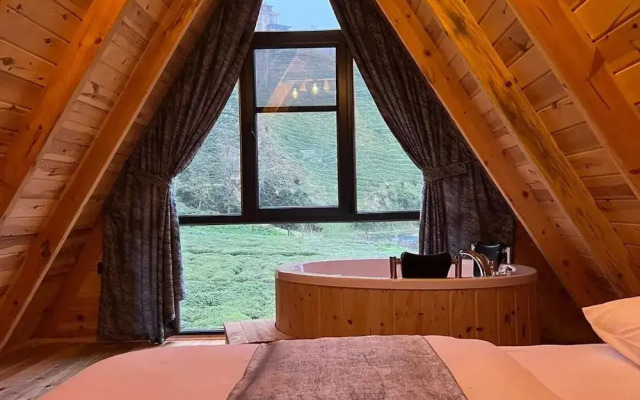 Rize Seversin Suit Bungalow