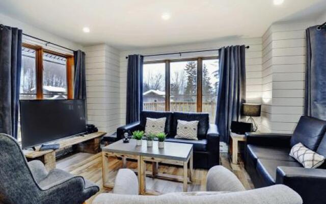 Chalets Alpins- 08 Chemin Alpin