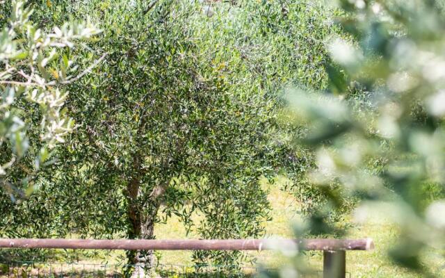Agriturismo Filettro