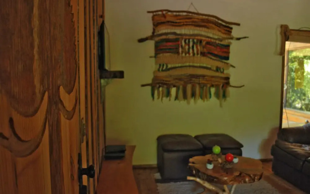 Casa Alto Palguin Pucón