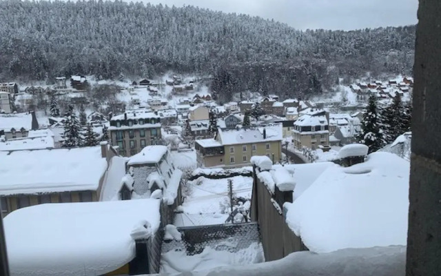 Appartement Mont-Dore, 2 pièces, 3 personnes - FR-1-415-105