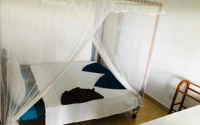 Surf Paradise & Cabana