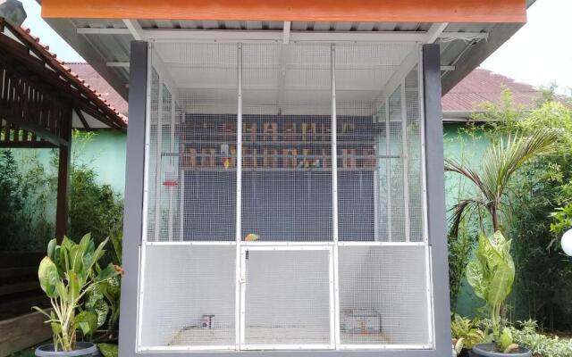 Wisma Lovebird