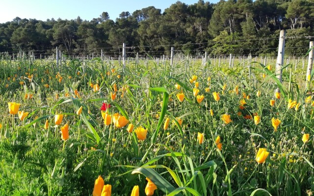 Chateau Canet