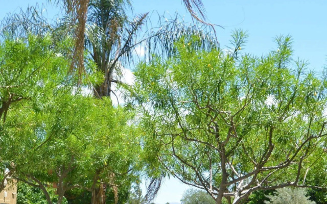 Sonoran Suites of Palm Springs at Canterra