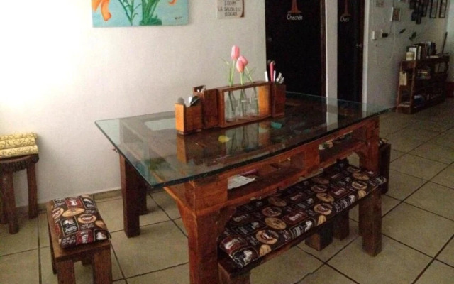 La Casa del Árbol Cancun