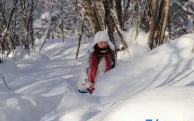 Snow Valley Mythical Family Hotel