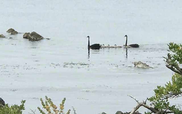 Wellington Beach Suite