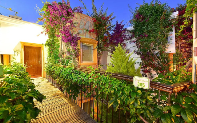 Tropicana Beach Apartments