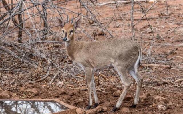 Mawusi Bush Lodge