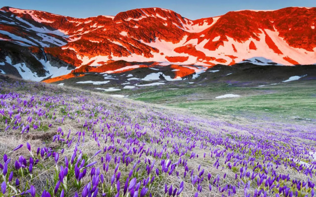 Pinewood ANG luxurious apartment A32