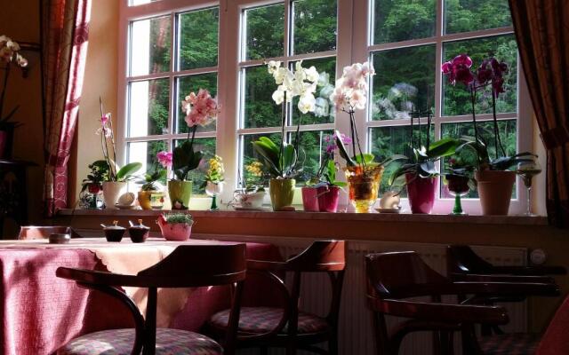 Rhon Hotel Waldcafe St Georg