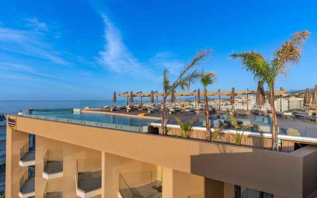 Minos Ambassador - Adults only