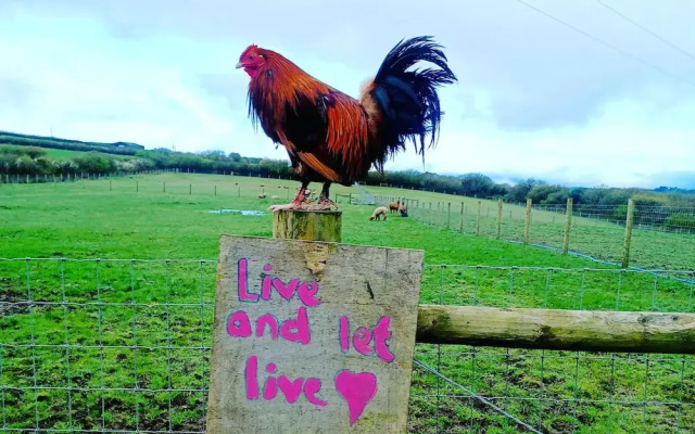 Secluded Converted Horsebox Retreat in Welcombe