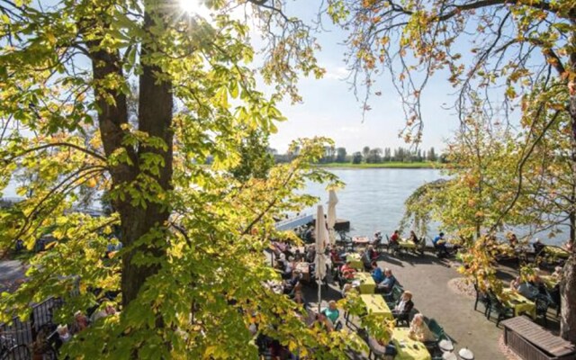 Baumberger Rheinterassen