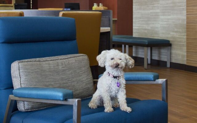 TownePlace Suites Austin Round Rock