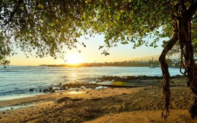 Appartement Duplex Terre Sainte Plage La Rose des Vents