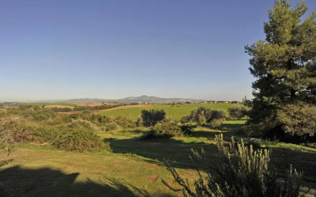 Tenuta Donna Olimpia