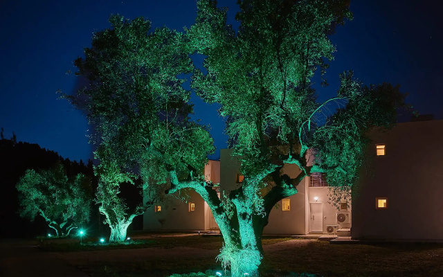 Eight Olives Luxury Villas