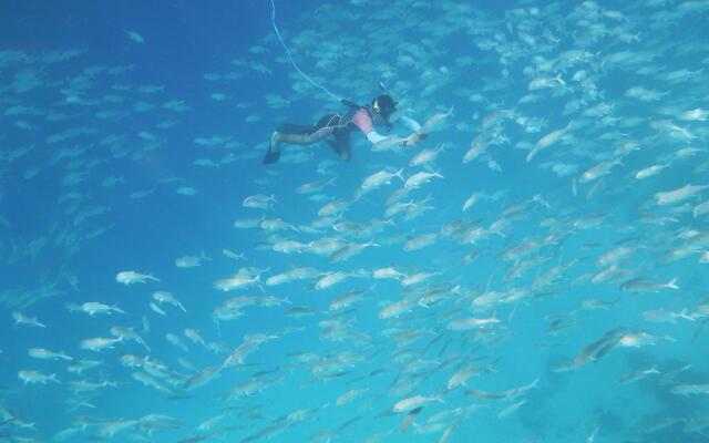 Discovery Coron